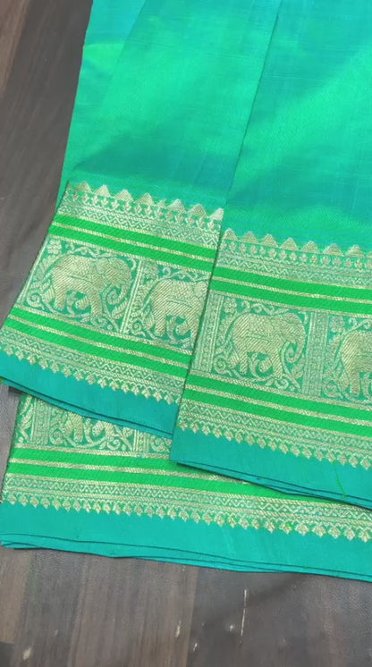 Venkatagiri Pure Pattu Saree-AM-VPPS-SEA GREEN-023